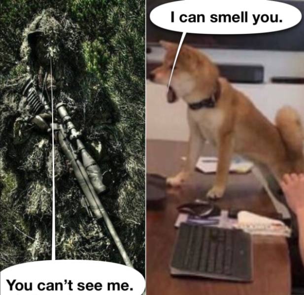 Random Dirty Memes…