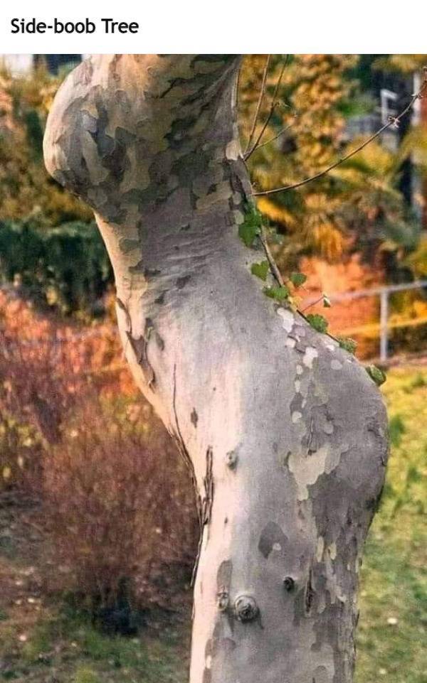 Random Dirty Memes…