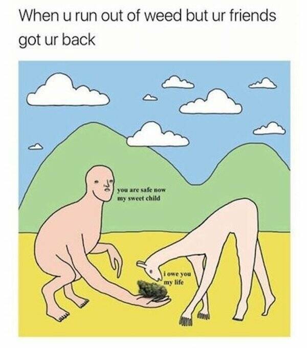 How High Are These Weed Memes?!