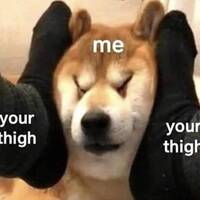 Content Image