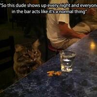 Content Image