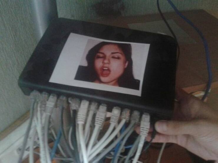 Content Image