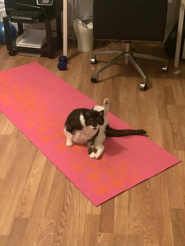 Stretching Is Good For Your Health