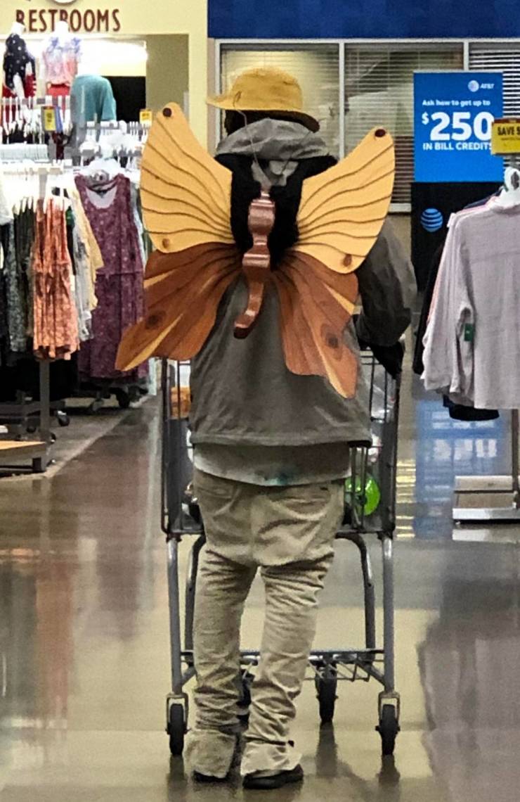 Content Image