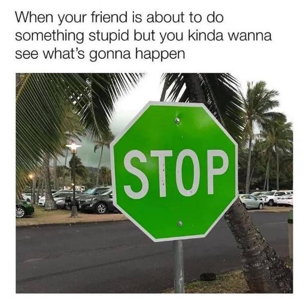 Ten Drinks Later…