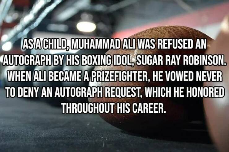 Facts Of Utmost Randomness