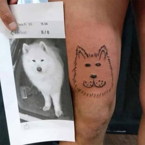 Content Image