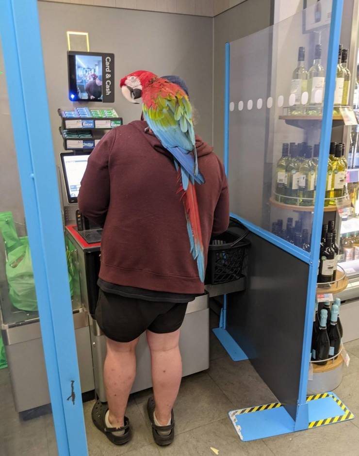 What’s Going On At “Walmart”?!