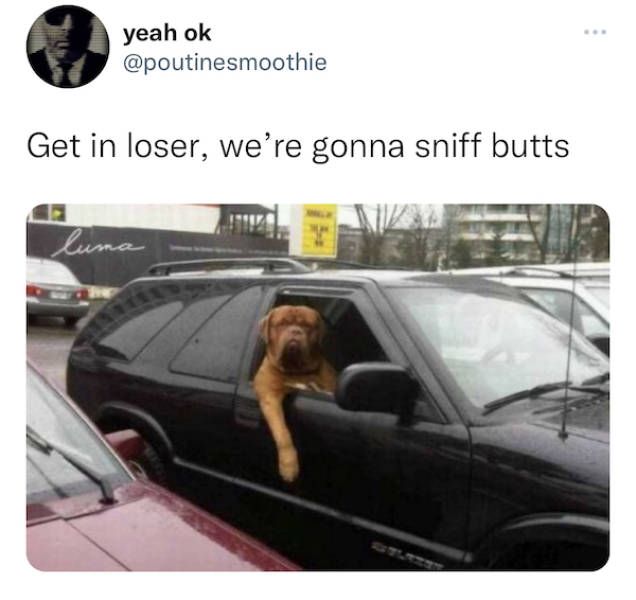 Content Image