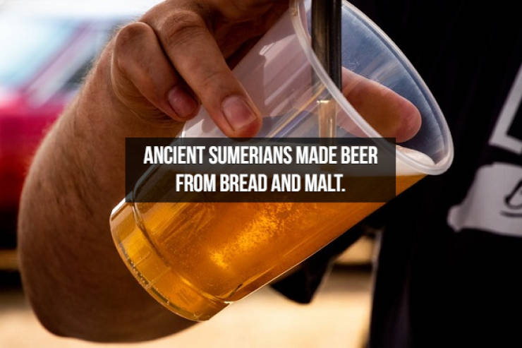 Let’s Brew Up Some Beer Facts!
