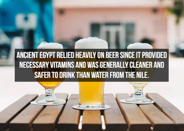 Let’s Brew Up Some Beer Facts!