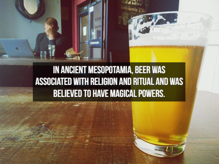 Let’s Brew Up Some Beer Facts!