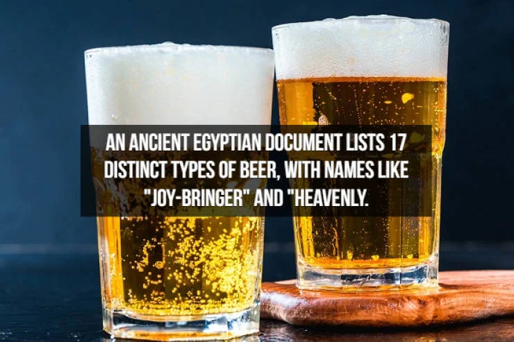 Let’s Brew Up Some Beer Facts!