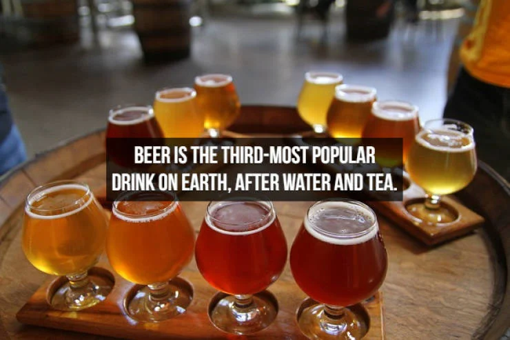 Let’s Brew Up Some Beer Facts!