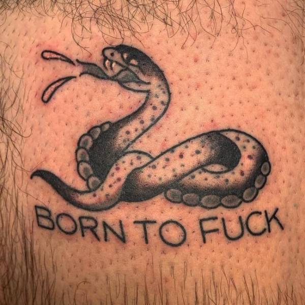 Content Image