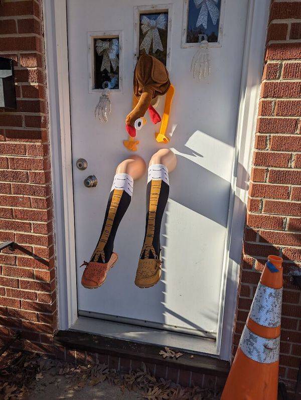 Content Image