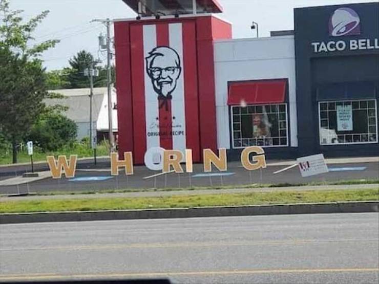 Content Image