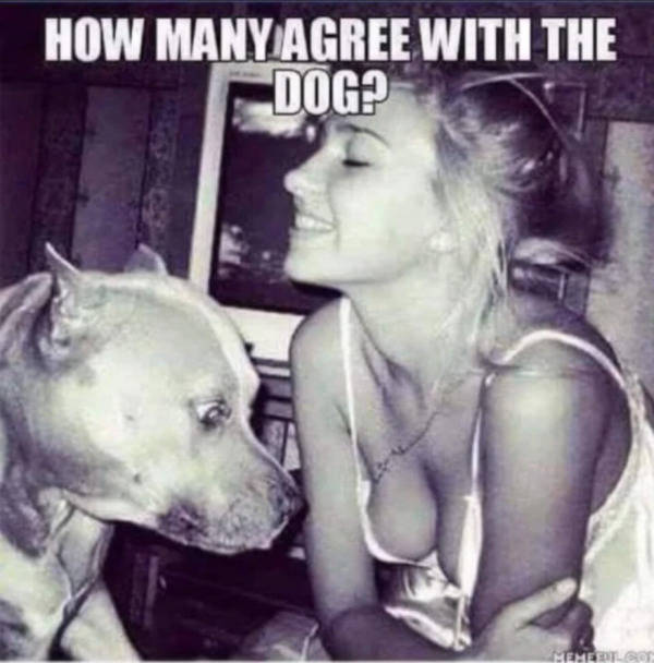 Dirty Memes Only!