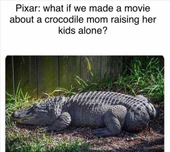 Content Image