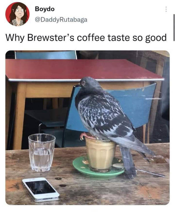 Content Image