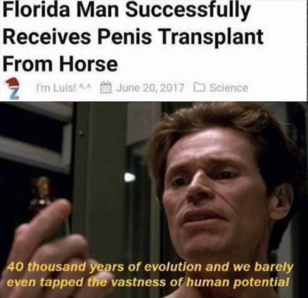 Content Image