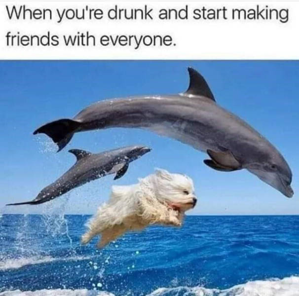 Drinking Never Ends!