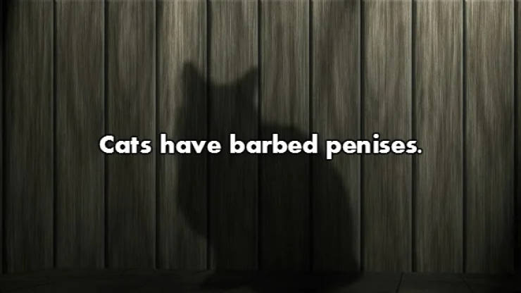 Fascinating NSFW Facts