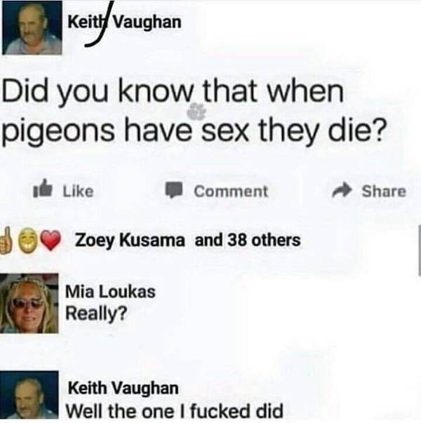 Content Image