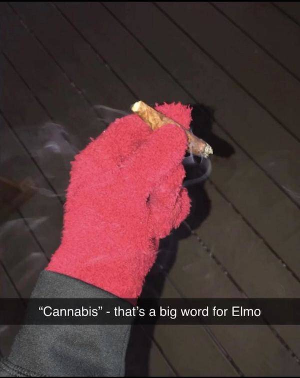 Content Image