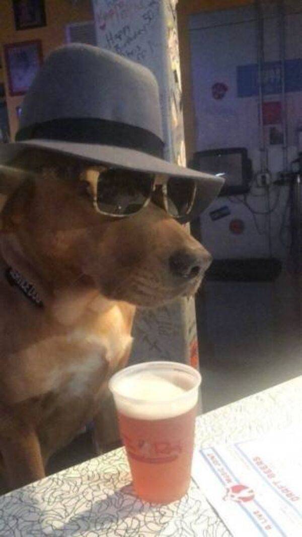 Content Image