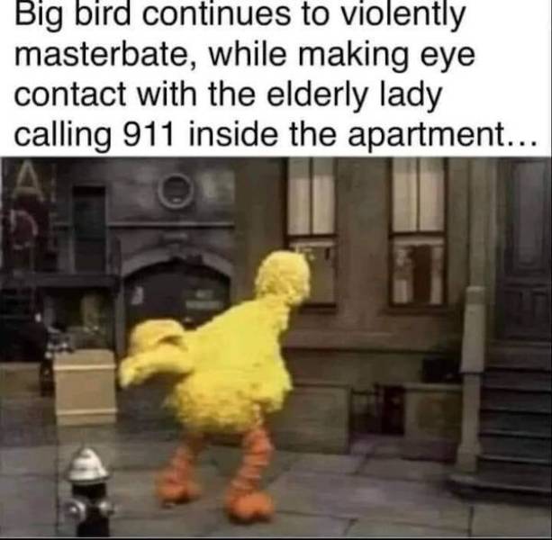 Content Image