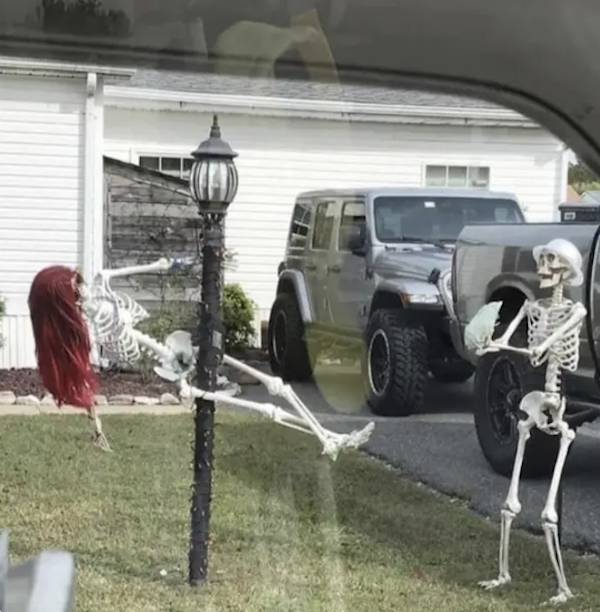 Content Image