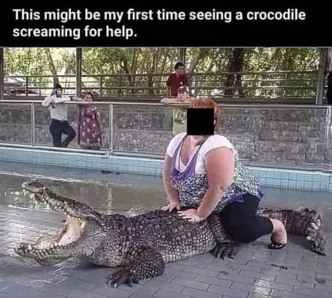 Content Image