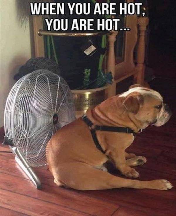 Ooh, That’s Dirty!
