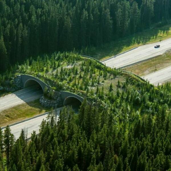 Captivating Images Of Thoughtfully Designed Infrastructure