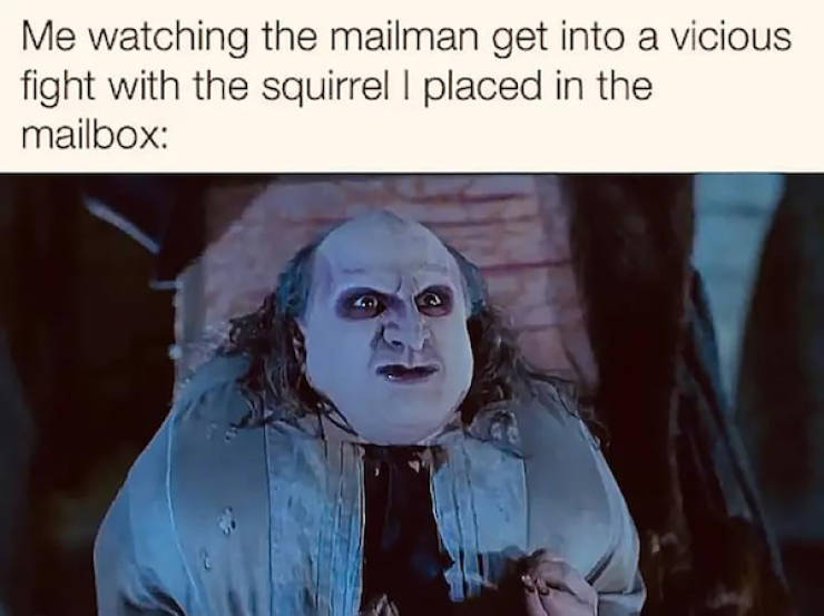 Content Image