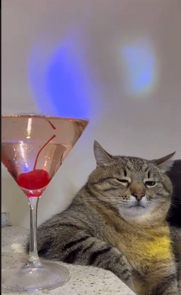 Cheers To Everyone