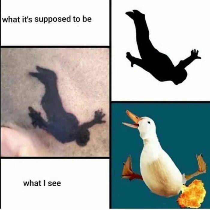 Content Image