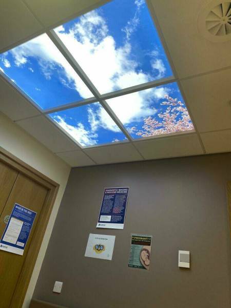 Innovative Creations: Transforming Bright Ideas Into Reality