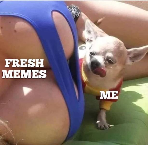 Content Image