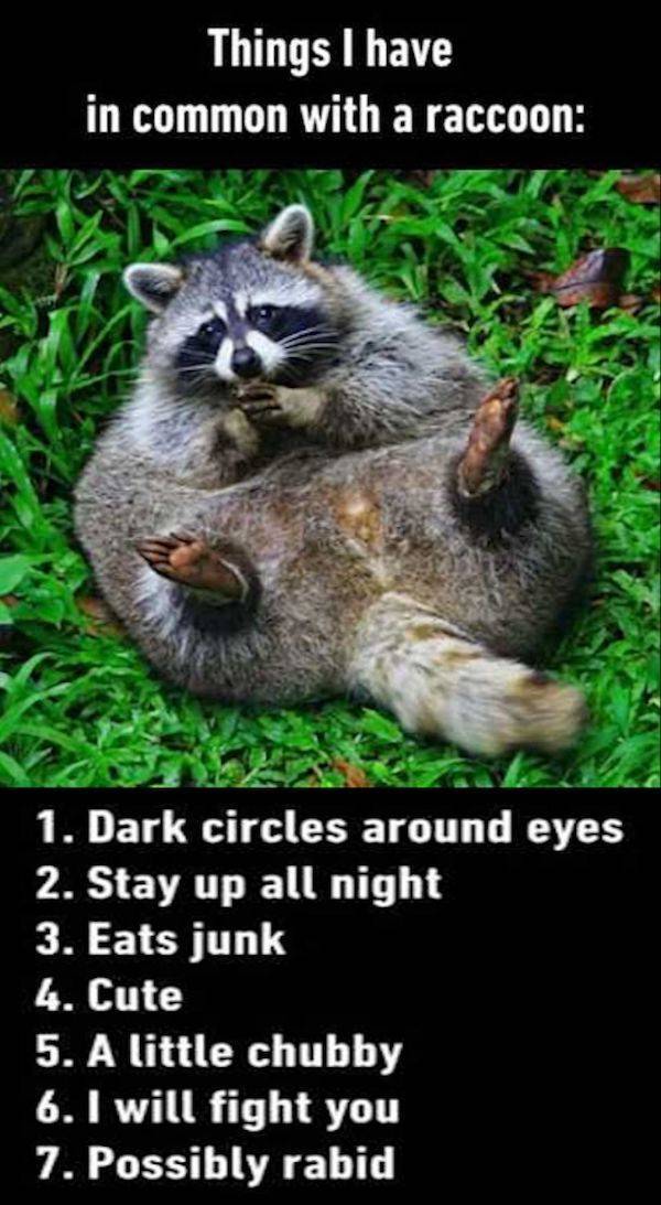 Content Image