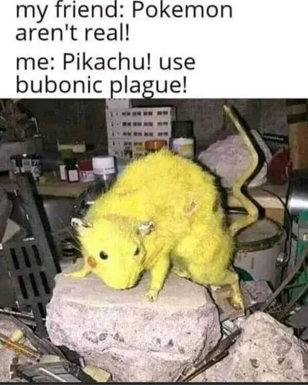 Content Image