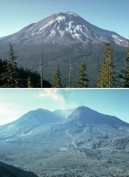 Sharing The Most Fascinating Pictures