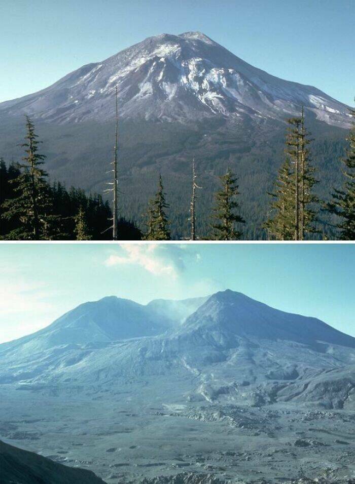 Sharing The Most Fascinating Pictures