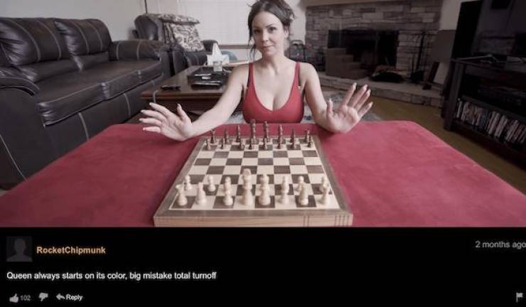 Commentary Chaos: The Wild World Inside Pornhub