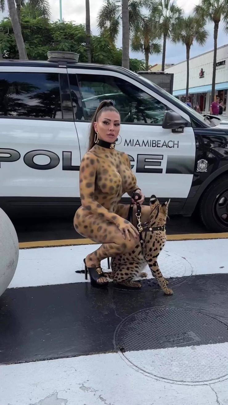 Content Image