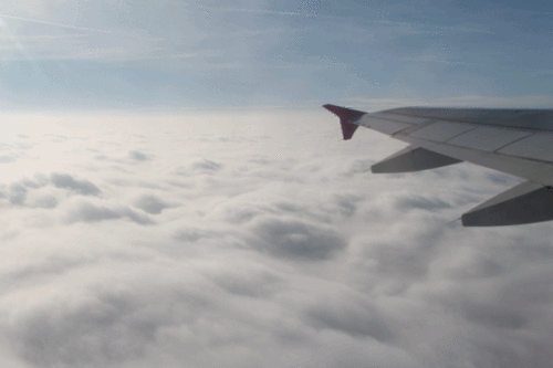 Unlocking Mile High Club Mysteries