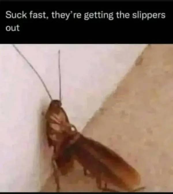 Hold On A Second!