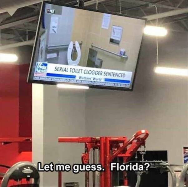 Content Image