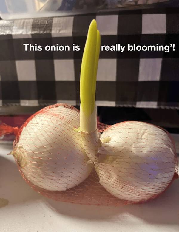 Content Image